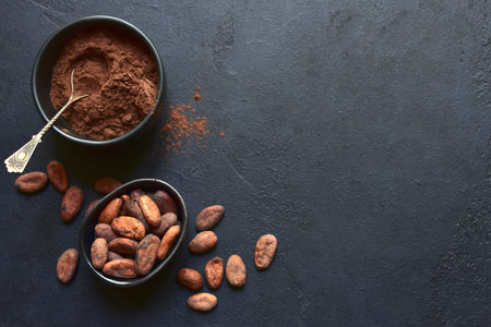 Ingredients for making homemade chocolate on a blue slate, stone or concrete table. Top view with copy space.の写真素材