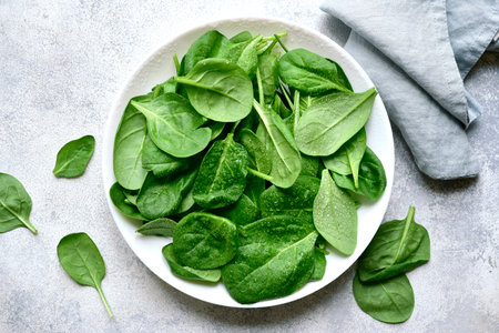 Fresh spinach leaves in a white bowl over light slate, stone or concrete background. Top view with copy space.の写真素材