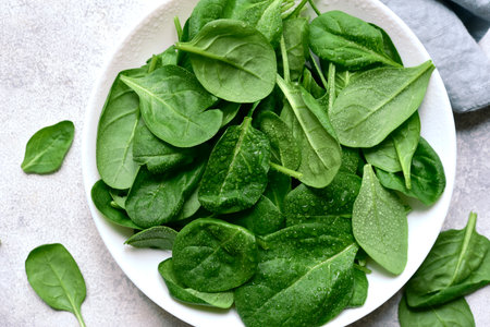 Fresh spinach leaves in a white bowl over light slate, stone or concrete background. Top view with copy space.の写真素材