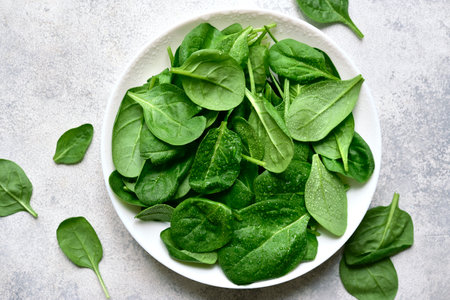 Fresh spinach leaves in a white bowl over light slate, stone or concrete background. Top view with copy space.の写真素材