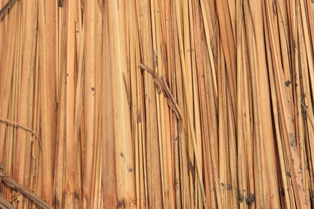 texture of thatch roofの写真素材