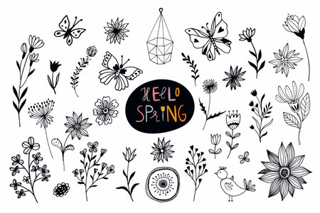 Spring time/ summer collection with hand drawn flowers and plants isolated on whiteのイラスト素材
