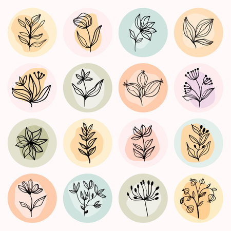 Abstract social media highlight covers, modern minimalist design, art line different plants and flowersのイラスト素材