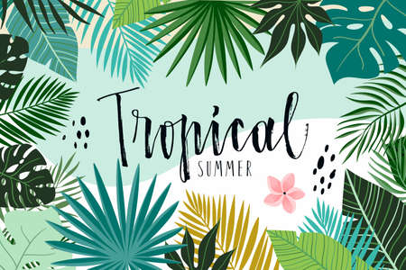 Tropical frame with different abstract leaves, modern designのイラスト素材