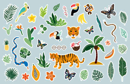 Summer tropical stickers collection, different  exotic elements, vector designのイラスト素材