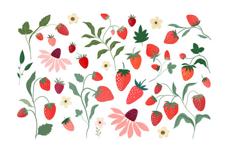 Strawberries collection with different fruits, summer composition, decorative design, elements isolated on white backgroundのイラスト素材
