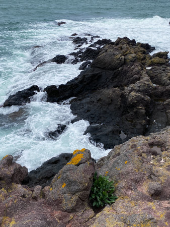 Rocky coast of the Black Sea. Sozopol Old Town. Bulgaria 05/01/2024の写真素材