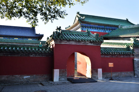 November 8, 2020, Beijing: Temple of Heaven Park.