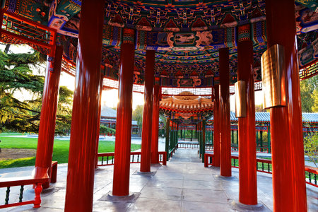 November 8, 2020, Beijing: Temple of Heaven Park.のeditorial素材