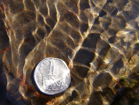 photo of czech crown in pondの写真素材