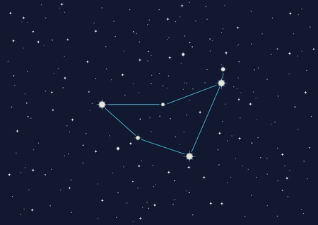 vector illustration of constellation のイラスト素材