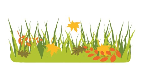 Autumnal background with the leaves on a grass.  You can find similar images in my gallery!のイラスト素材