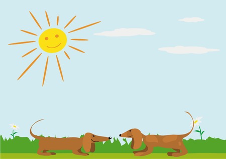 illustration of two dachshund on the meadowのイラスト素材