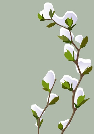 Winter background with two branches under snow. You can put in your text.のイラスト素材
