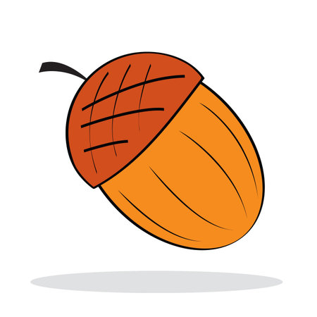 Acorn with grey shadow. Autumnal icon. illustrationのイラスト素材