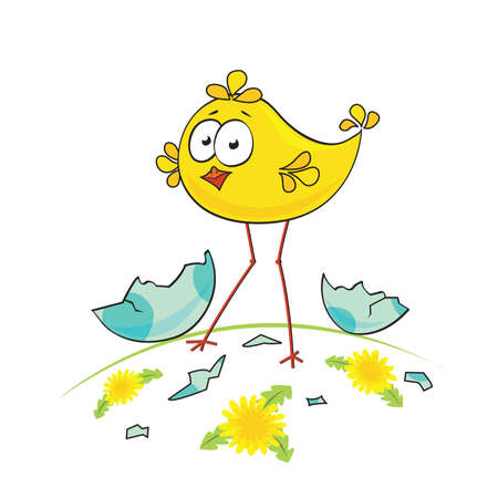 Cute little chicken on the meadowのイラスト素材