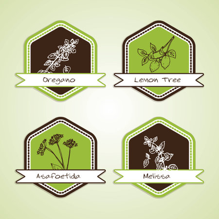 Set of Natural Organic Product badgesのイラスト素材