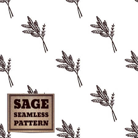 Health and Nature Collection. Seamless pattern with a herb and cardboard card.  Sage - Salvia officinalisのイラスト素材