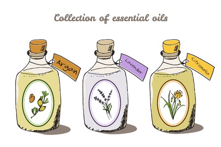 Health and Nature Collection. Collection of essential oils. Argan, Lavender, Citronellaのイラスト素材