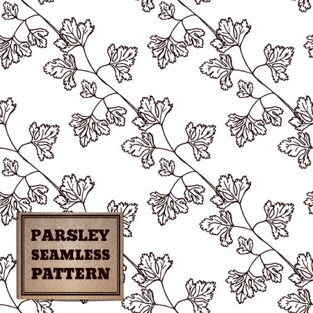 Health and Nature Supplements Collection.  Seamless pattern with a herb and cardboard card. Parsley - Petroselinum crispumのイラスト素材