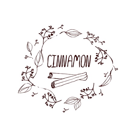 Herbs and Spices Collection - Cinnamon. Handdrawn Wreath. Suitable for ads, signboards, packaging and identity designsのイラスト素材