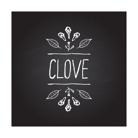 Herbs and Spices Collection - Clove. Handdrawn Vignette on Black Chalkboard. Suitable for ads, signboards, packaging and identity designsのイラスト素材