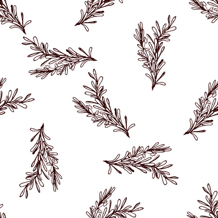 Herbs and Spices Collection - Clove. Seamless pattern with handdrawn elements. Suitable for packaging and identity designsのイラスト素材