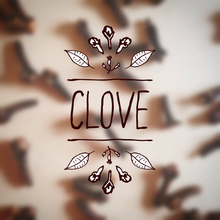 Herbs and Spices Collection - Clove.  Hand-sketched typographic element on blurred background. Suitable for ads, signboards, packaging and identity designsのイラスト素材