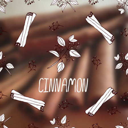 Herbs and Spices Collection - Cinnamon.  Hand-sketched typographic element on blurred background. Suitable for ads, signboards, packaging and identity designsのイラスト素材