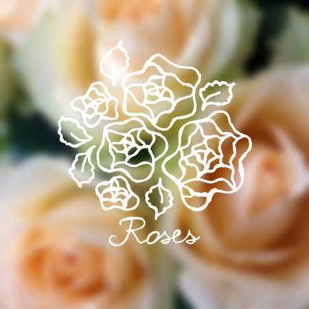 Handsketched bouquet of roses on blurred background.  Floral label.  Suitable for ads, signboards, identity and wedding designsのイラスト素材