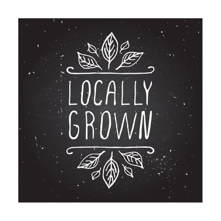 Hand-sketched typographic elements on chalkboard background. Locally grownのイラスト素材
