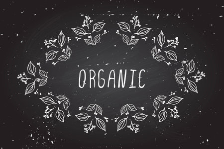 Organic -  Hand-sketched frame on chalkboard background. Suitable for ads, signboards, packaging and identity and web designs.のイラスト素材