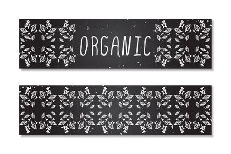 Organic - banner. Hand-sketched herbal elements on chalkboard background.のイラスト素材