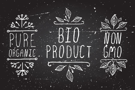 Hand-sketched typographic elements. のイラスト素材