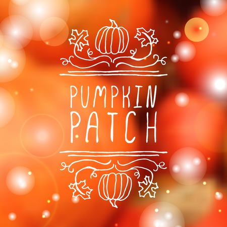 Pumpkin patch. Hand-sketched typographic element with cute little pumpkins on blurred background.のイラスト素材