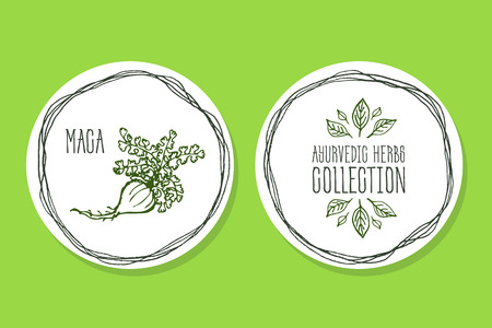 Ayurvedic Herb Collection. Handdrawn Illustration - Health and Nature Set. Natural Supplements. Ayurvedic Herb - Label with Macaのイラスト素材