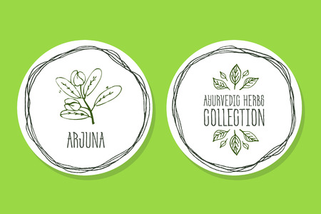 Ayurvedic Herb Collection. Handdrawn Illustration - Health and Nature Set. Natural Supplements. Ayurvedic Herb Label with Arjunaのイラスト素材