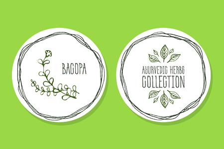 Ayurvedic Herb Collection. Handdrawn Illustration - Health and Nature Set. Natural Supplements. Ayurvedic Herb Label with  Bacopaのイラスト素材