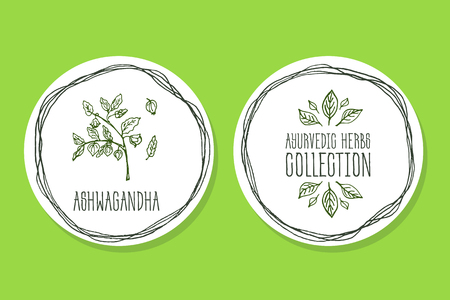 Ayurvedic Herb Collection. Handdrawn Illustration - Health and Nature Set. Natural Supplements. Ayurvedic Herb Label with Ashwagandhaのイラスト素材