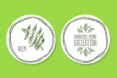Ayurvedic Herb Collection. Handdrawn Illustration - Health and Nature Set. Natural Supplements. Ayurvedic Herb Label with Neemのイラスト素材