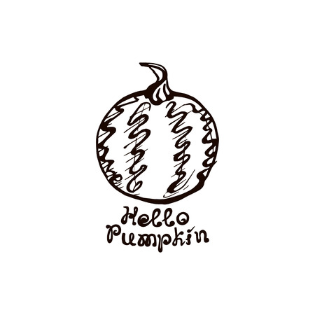 Autumn hand drawn pumpkin with lettering isolated on whiteのイラスト素材
