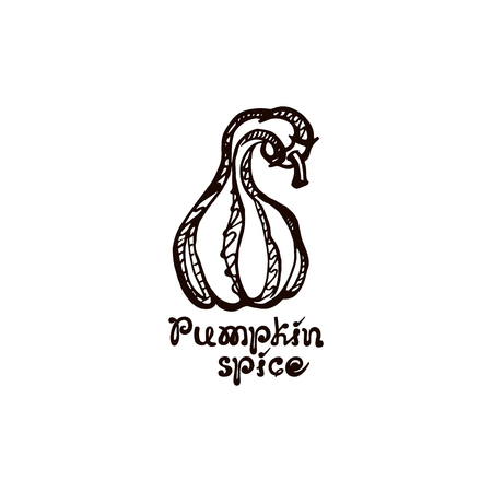 Autumn hand drawn pumpkin with lettering isolated on whiteのイラスト素材