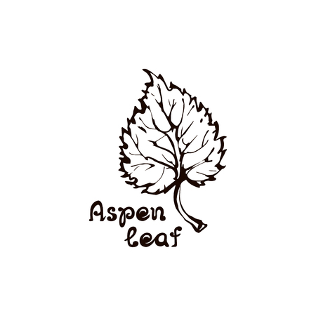 Hand Drawn Aspen Leaf with Handwritten Textのイラスト素材