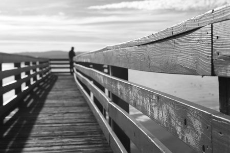 The lonely Man