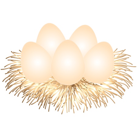 Nest with eggs isolated on a white backgroundのイラスト素材