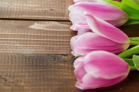 Row of tulips on wooden background with space for message. Mother's Day background.の写真素材