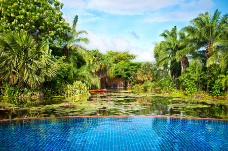 Swimming pool surrounded by lush tropical plantsのeditorial素材