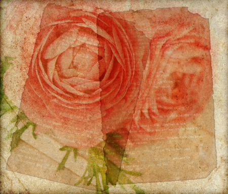 old grunge vintage paper  floral background  ranunculus flowersの写真素材