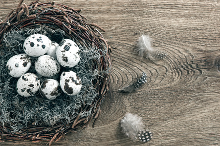 birds eggs in nest on rustic wooden backgroundの写真素材