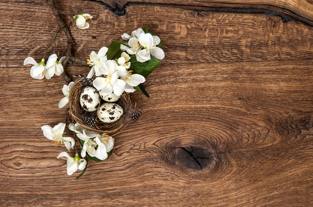 apple tree flowers and easter nest with eggs on rustic wooden background  spring blossomの写真素材
